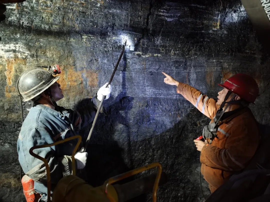 1764903567378206.jpg 1764903567378206.jpg