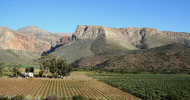 Prince Albert olive farm for sale at R7.25 million