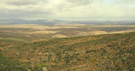 1 300ha of Little Karoo wilderness area for sale